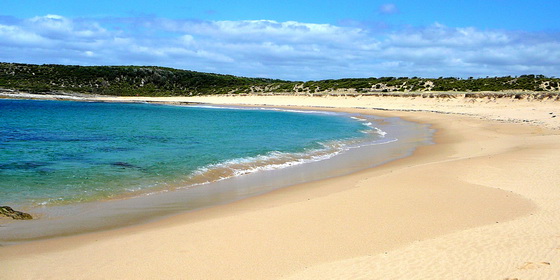 Big Marley Beach in the Royal National Park