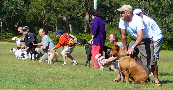 Art of Living 2008 Dog Race