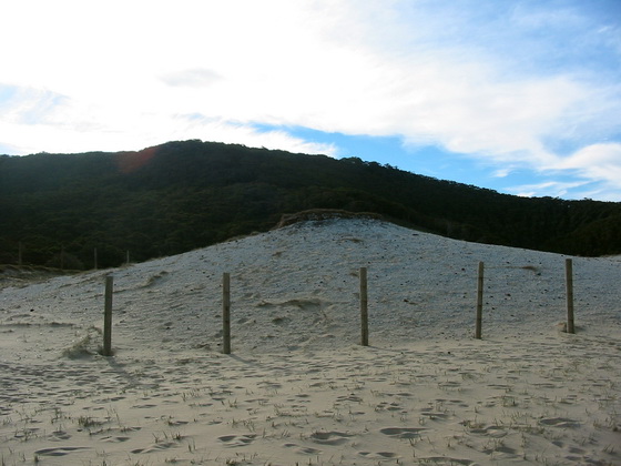 Garie Beach Aboriginal Midden