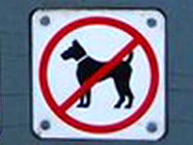 Royal National Park No Dogs Allowed Sign