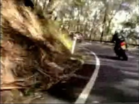 Royal National Park Motorcycle Rider