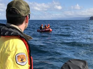 Wattamolla Whale Rescue NPWS