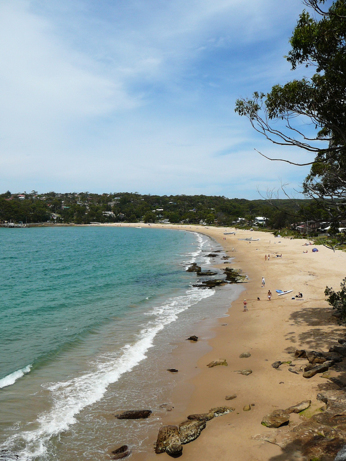 Horderns Beach from Cabbage Tree Point